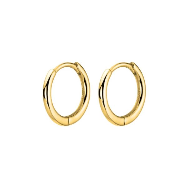 עגילי שחור זהב צבע פלדת אל-חלד עגילים לנשים